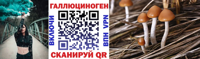Псилоцибиновые грибы MAGIC MUSHROOMS  МЕГА рабочий сайт  Россошь 