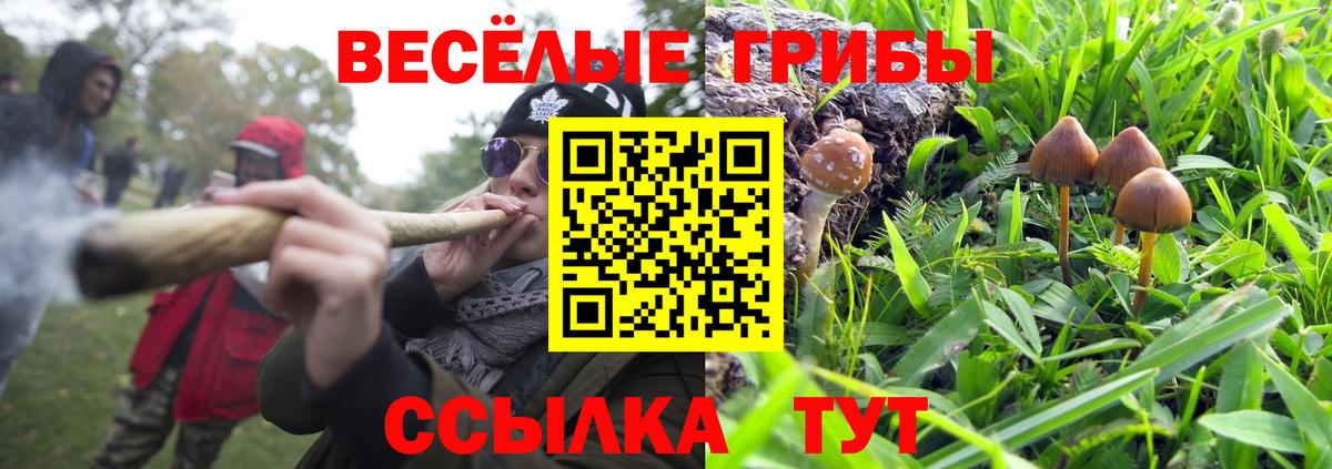 Псилоцибиновые грибы прущие грибы Россошь