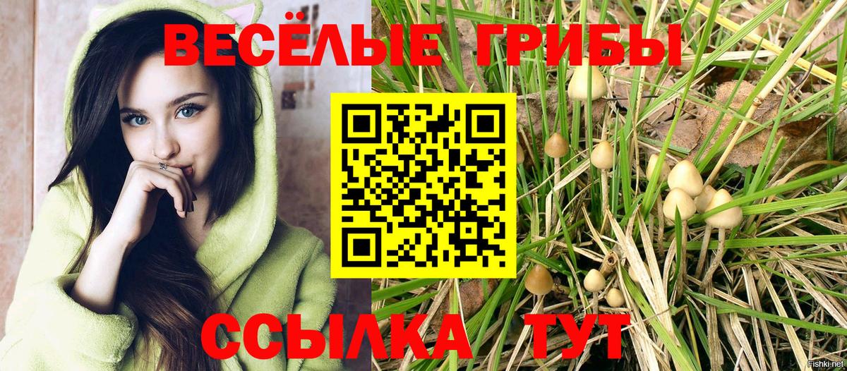 хочу наркоту  Галлюциногенные грибы GOLDEN TEACHER  Россошь  Вход с VPN  Галлюциногенные грибы прущие грибы 